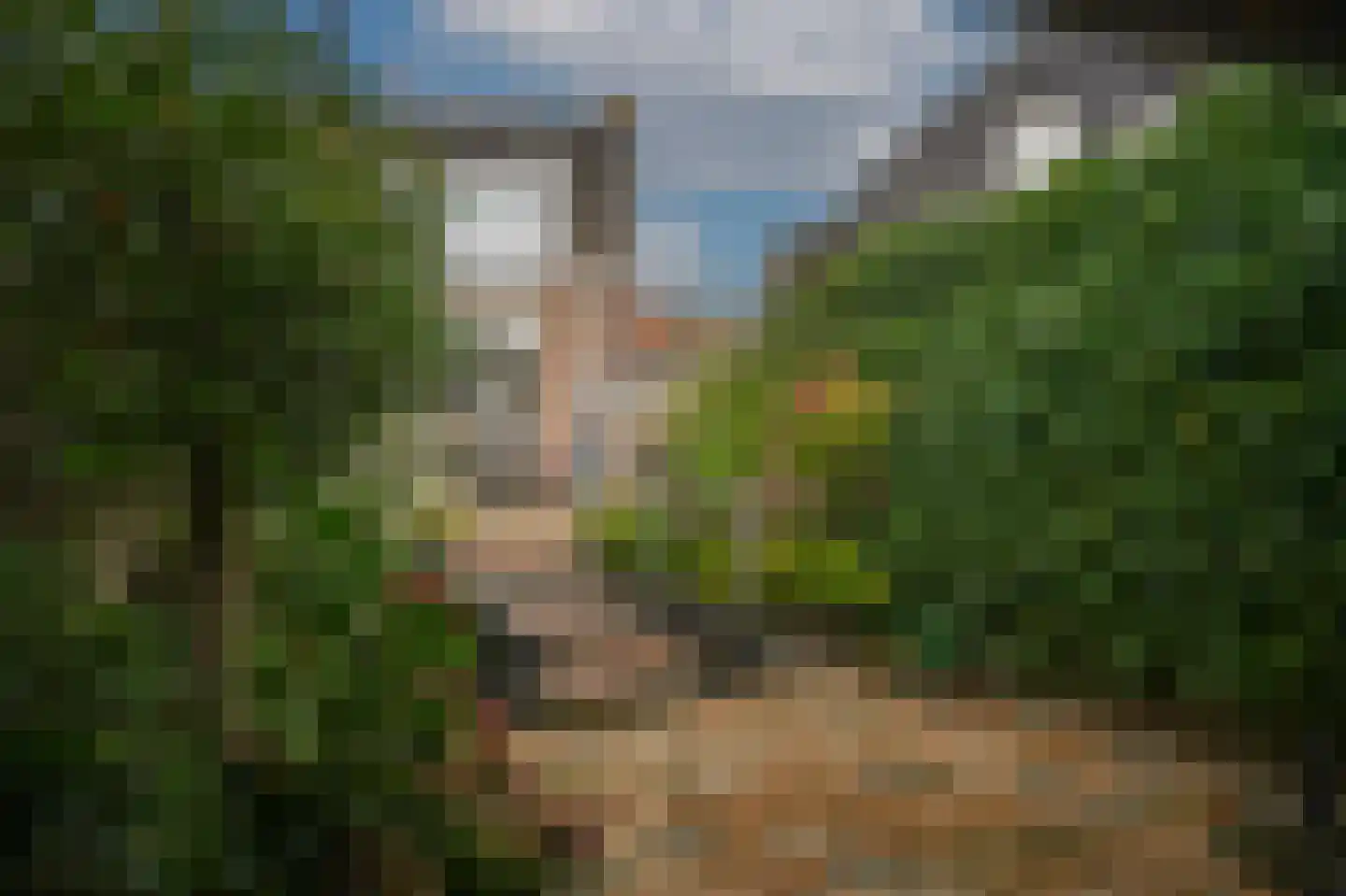 Torenstraat 45 Heukelum thumbnail 25