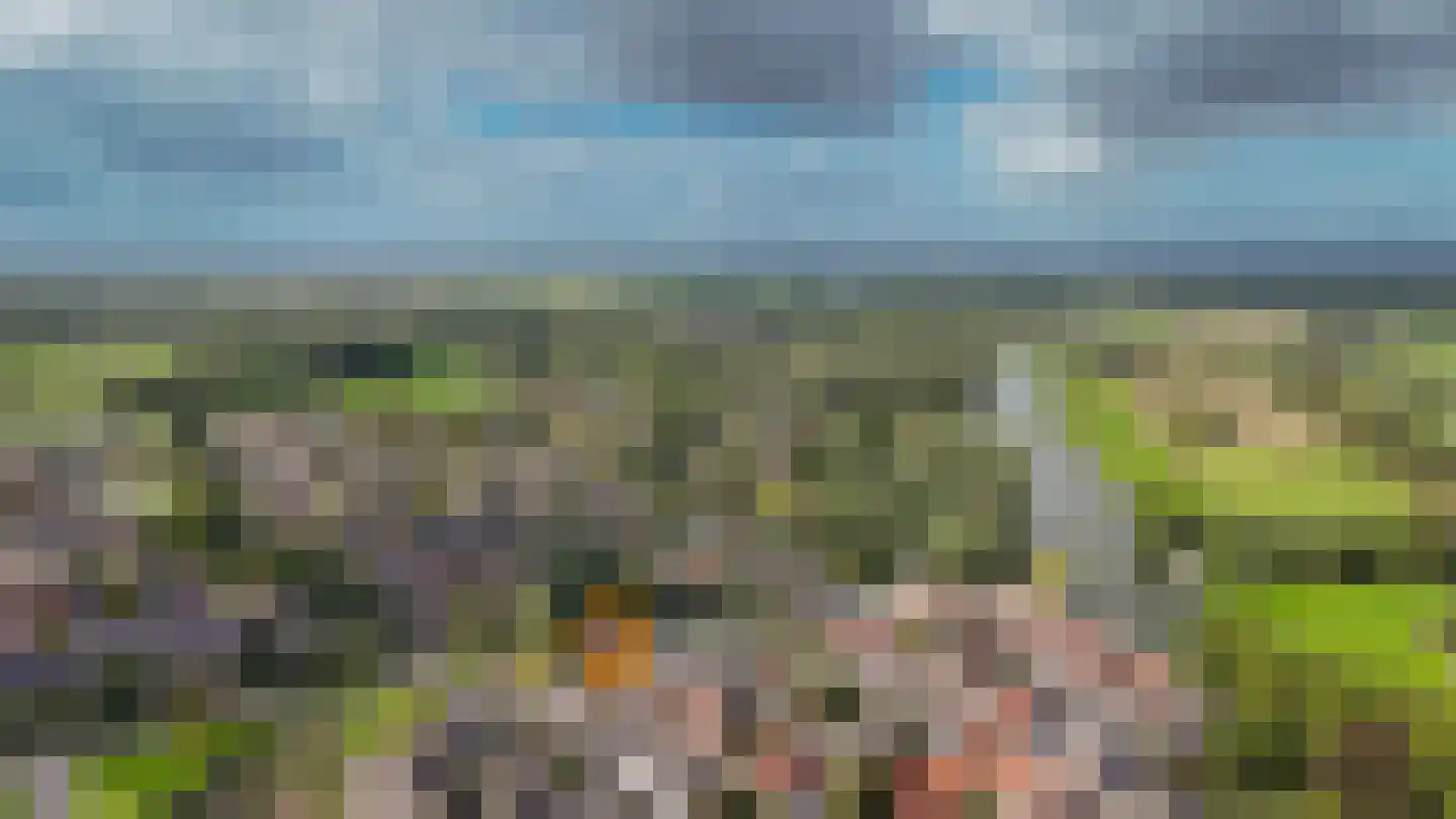 Torenstraat 45 Heukelum thumbnail 34