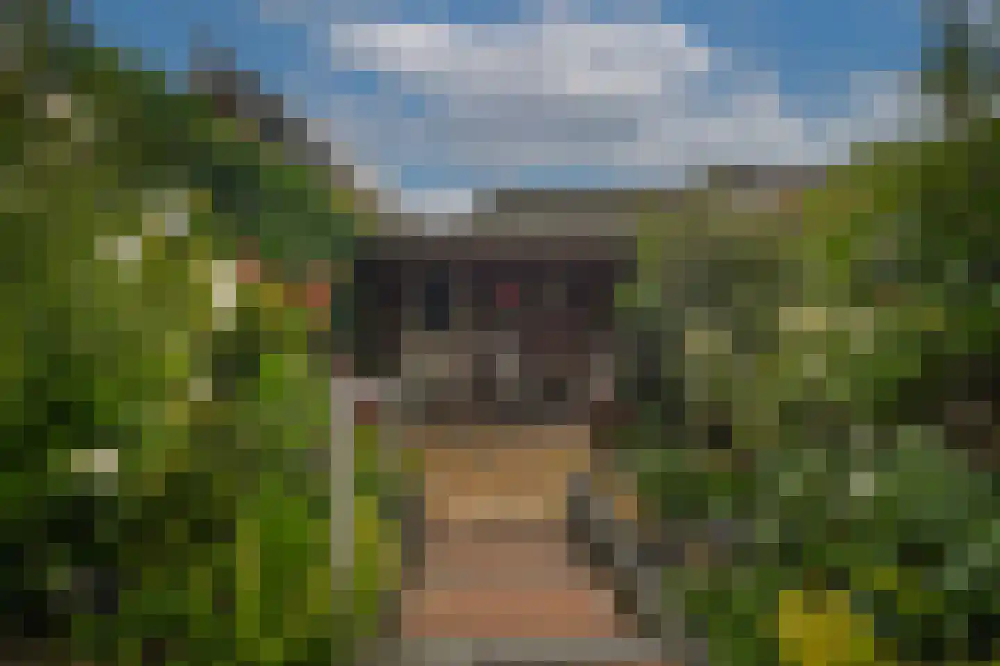Torenstraat 45 Heukelum thumbnail 4