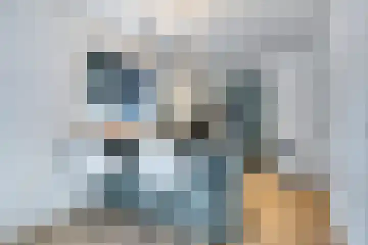 Torenstraat 47 Numansdorp thumbnail 12