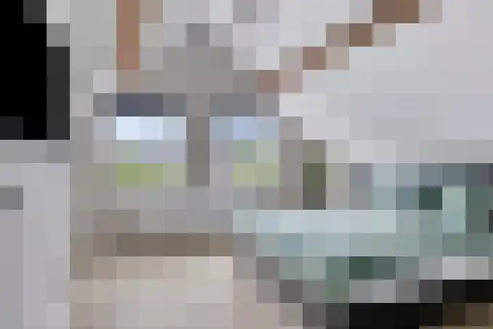 Torenstraat 47 Numansdorp thumbnail 21