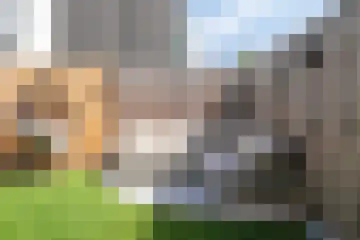 Torenstraat 47 Numansdorp thumbnail 36