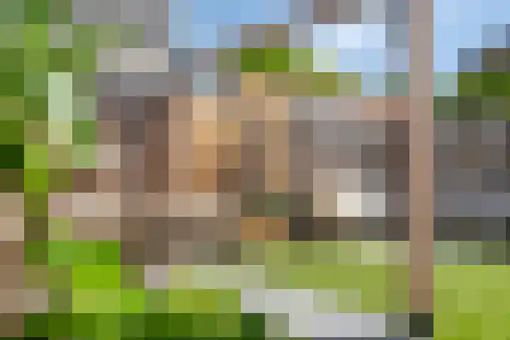 Torenstraat 47 Numansdorp thumbnail 37