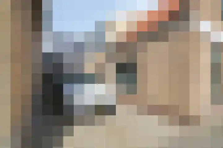 Torenstraat 47 Numansdorp thumbnail 43