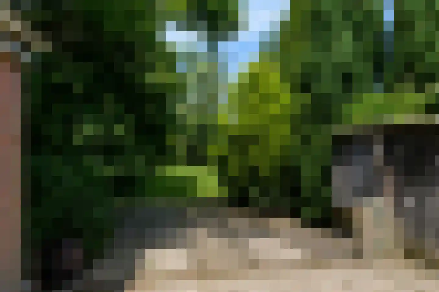 Torenstraat 47 Wildervank thumbnail 39