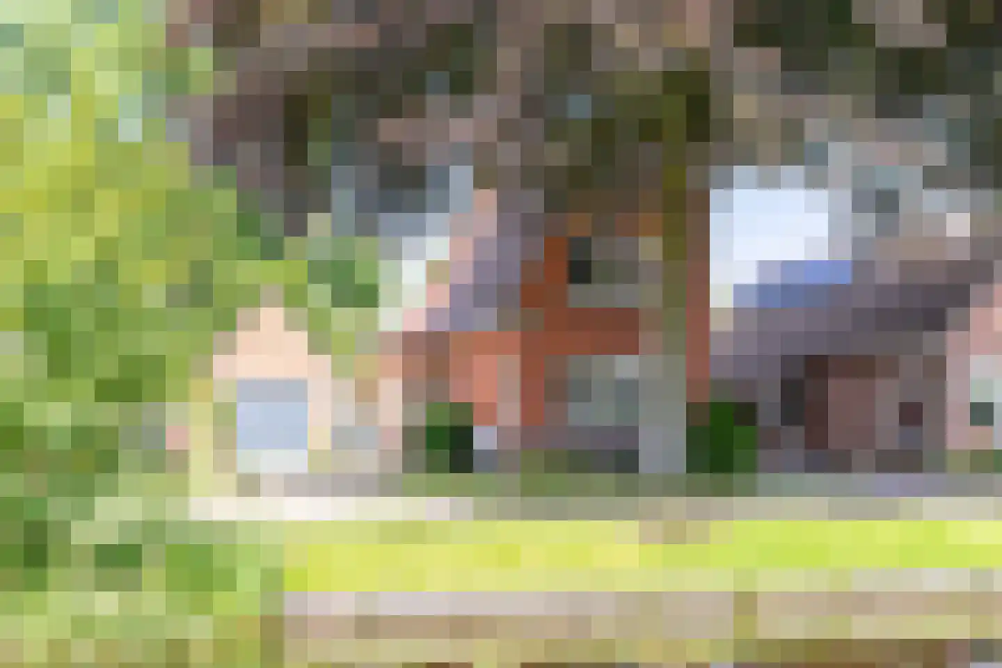 Torenstraat 47 Wildervank thumbnail 4