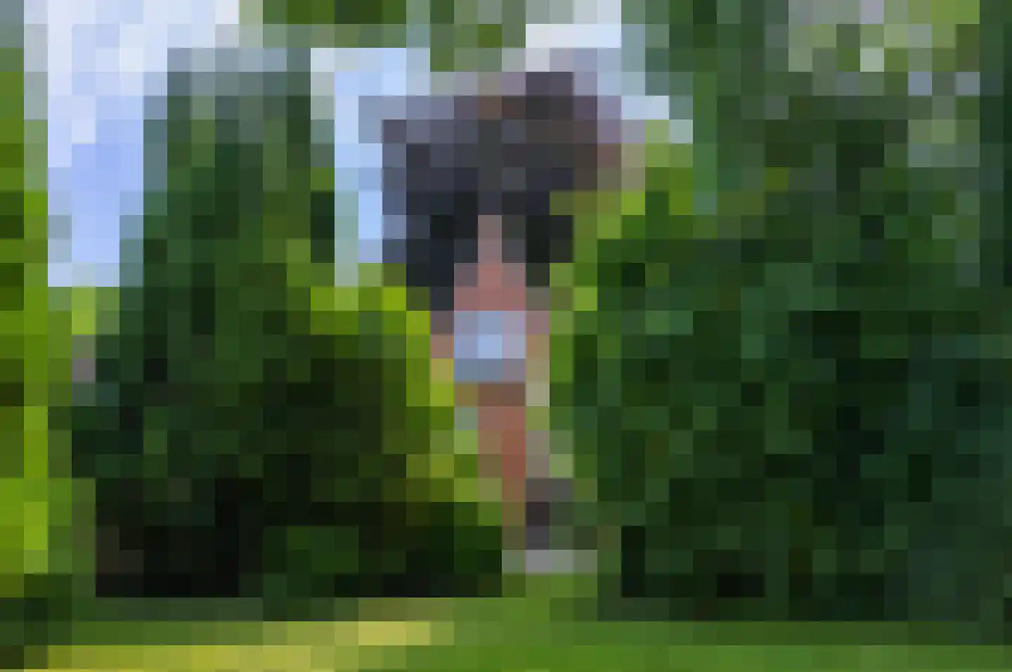 Torenstraat 47 Wildervank thumbnail 41