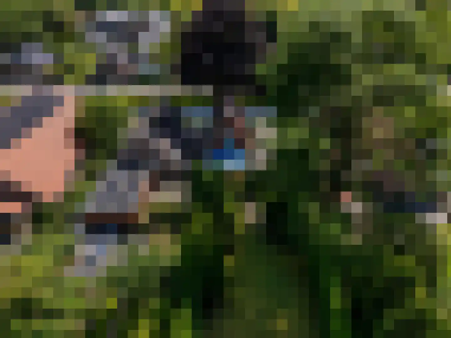Torenstraat 47 Wildervank thumbnail 42