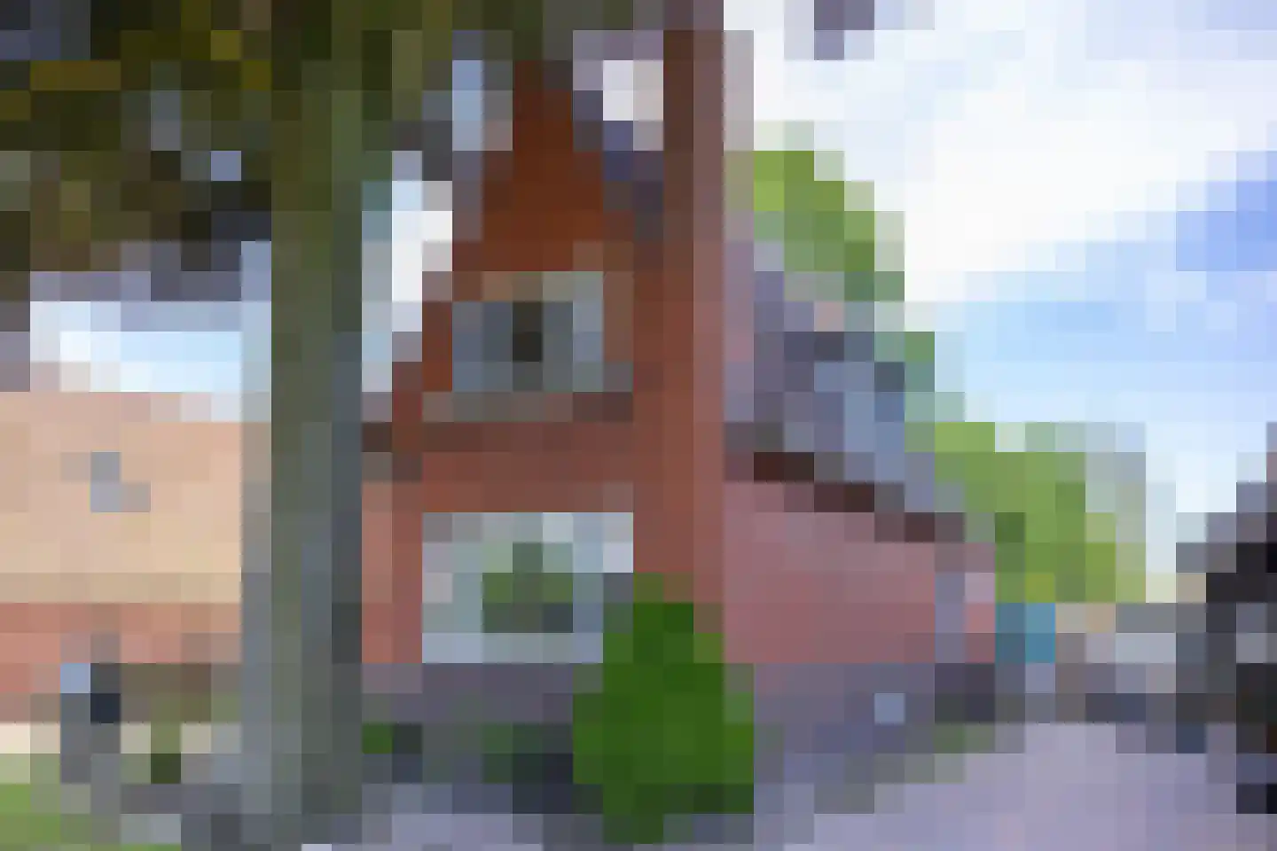 Torenstraat 47 Wildervank thumbnail 6