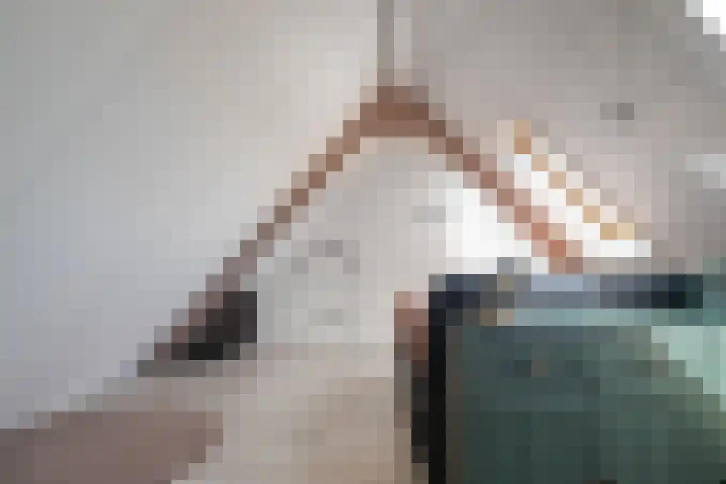 Torenstraat 49 Heukelum thumbnail 38