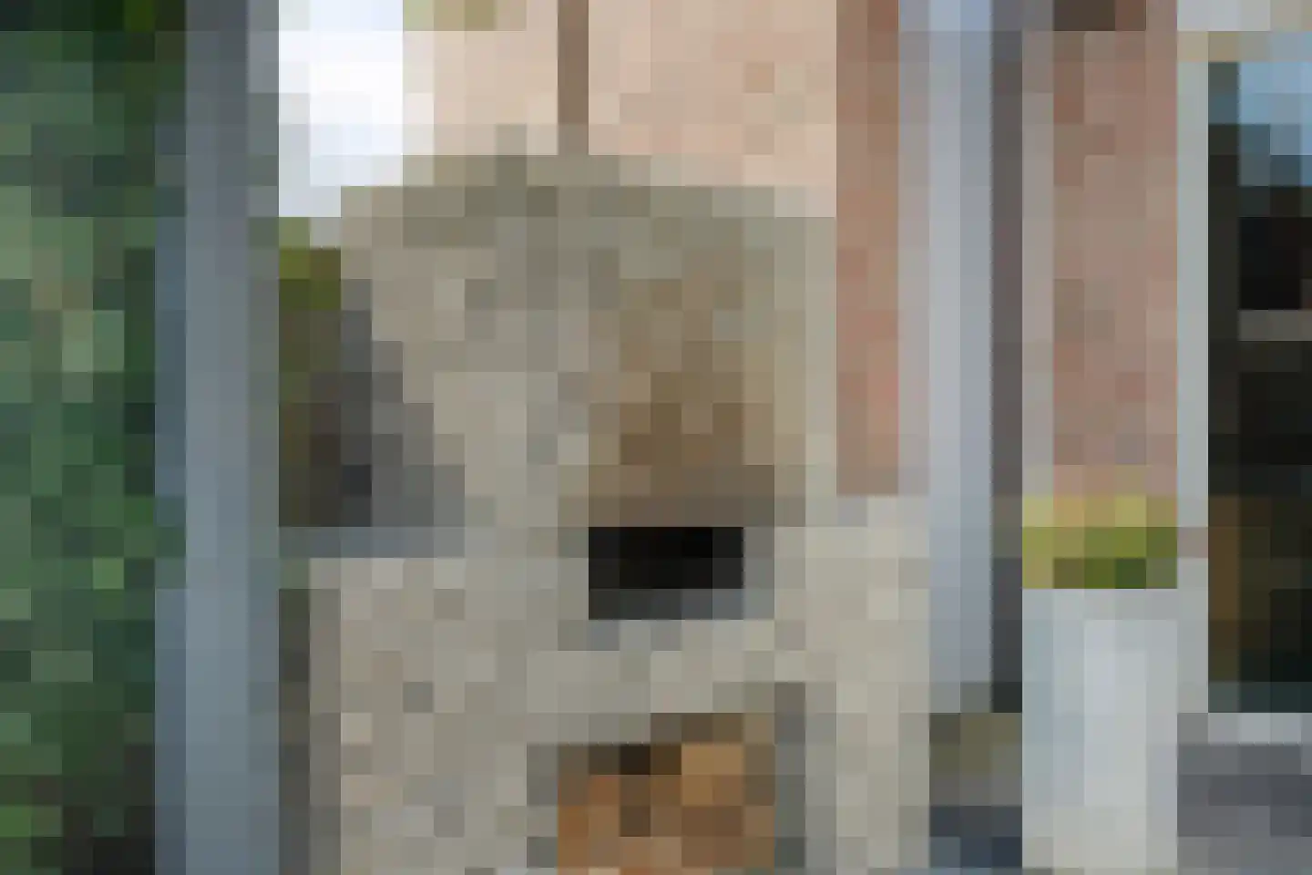 Torenstraat 49 Heukelum thumbnail 44