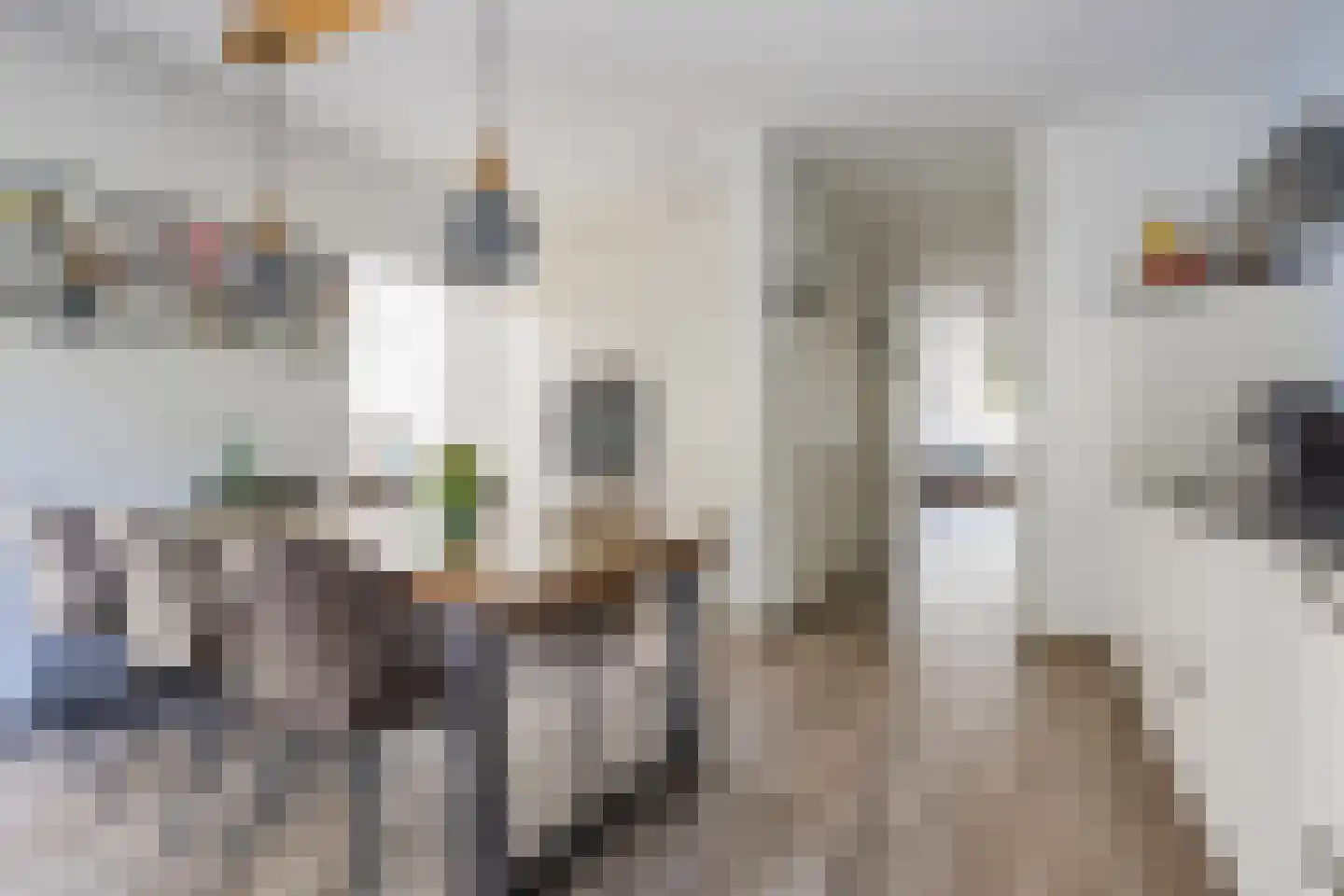 Torenstraat 5 A Hoogeloon thumbnail 12