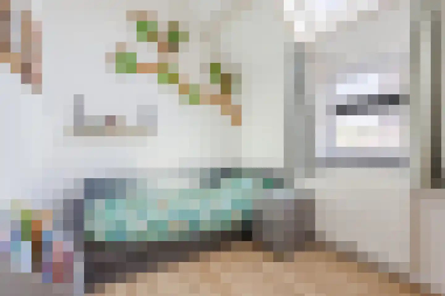 Torenstraat 5 A Hoogeloon thumbnail 24