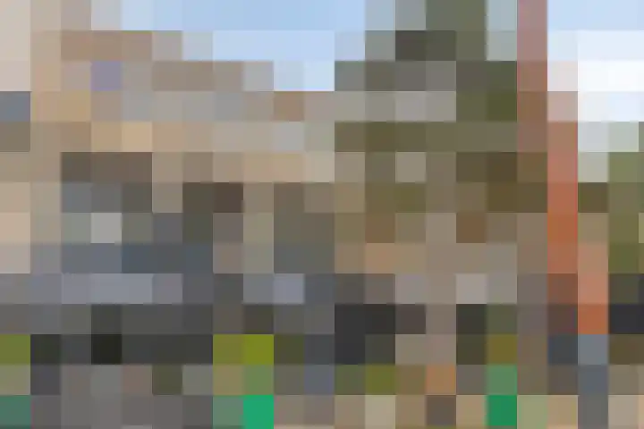Torenstraat 5 D Zeewolde thumbnail 33