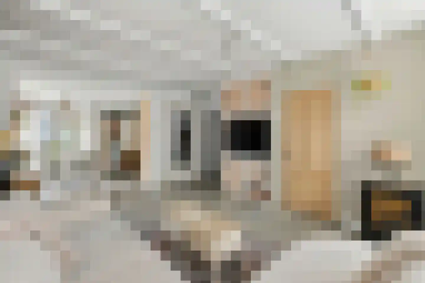 Torenstraat 5 Egmond aan Zee thumbnail 15