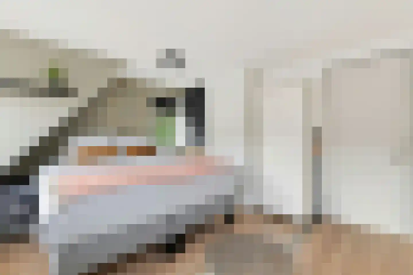Torenstraat 5 Egmond aan Zee thumbnail 28