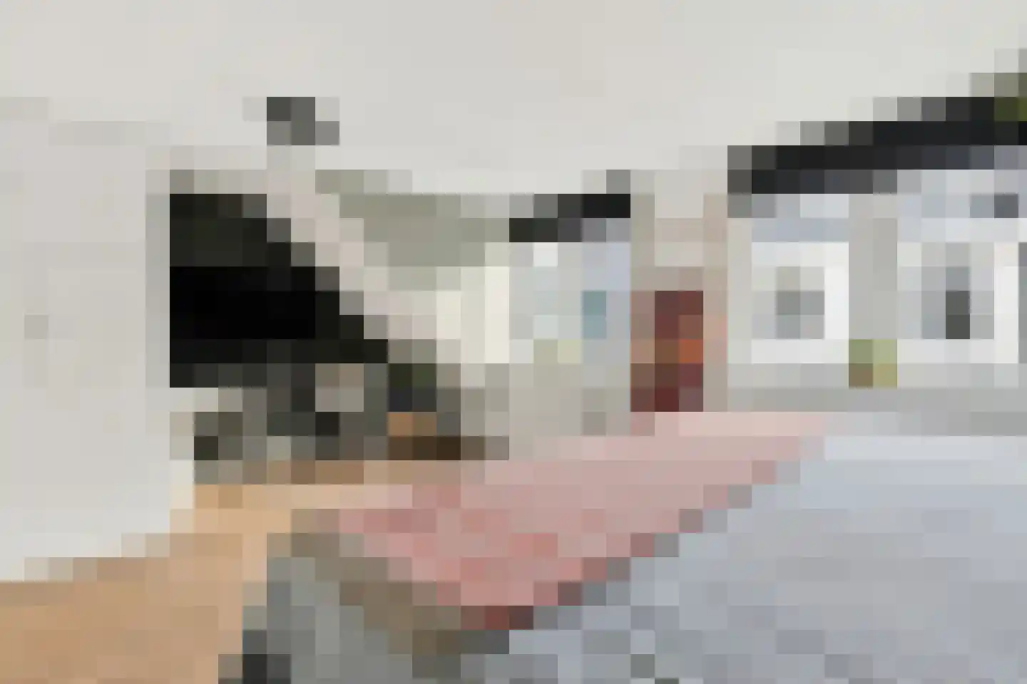 Torenstraat 5 Egmond aan Zee thumbnail 29