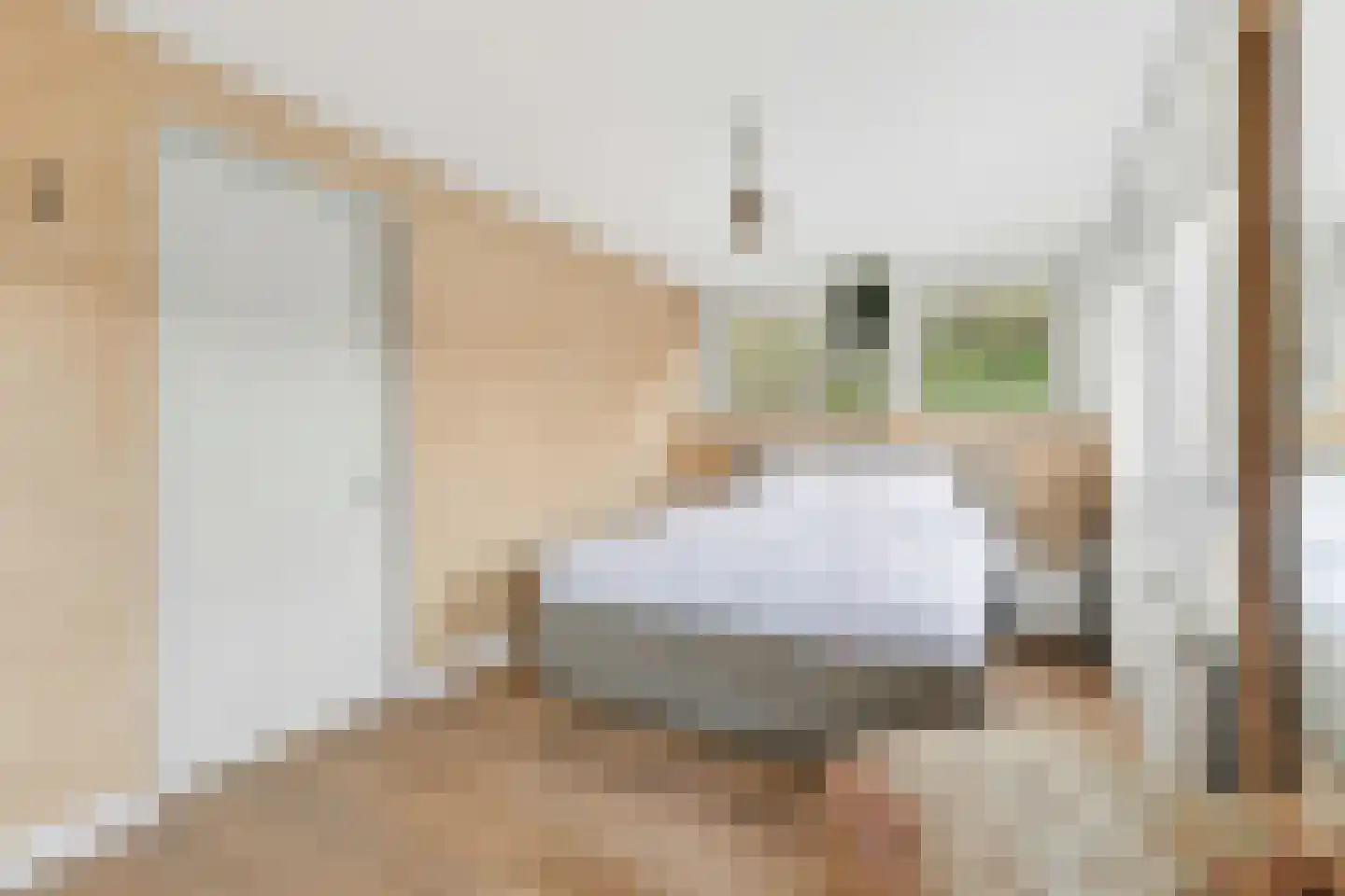 Torenstraat 5 Egmond aan Zee thumbnail 31
