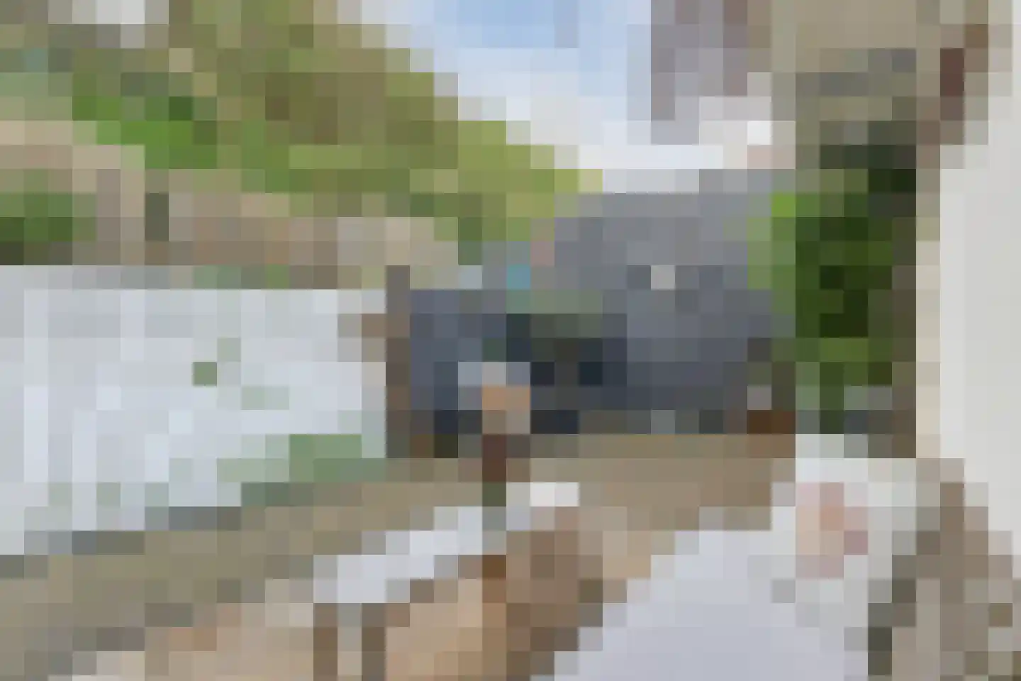 Torenstraat 5 Egmond aan Zee thumbnail 42