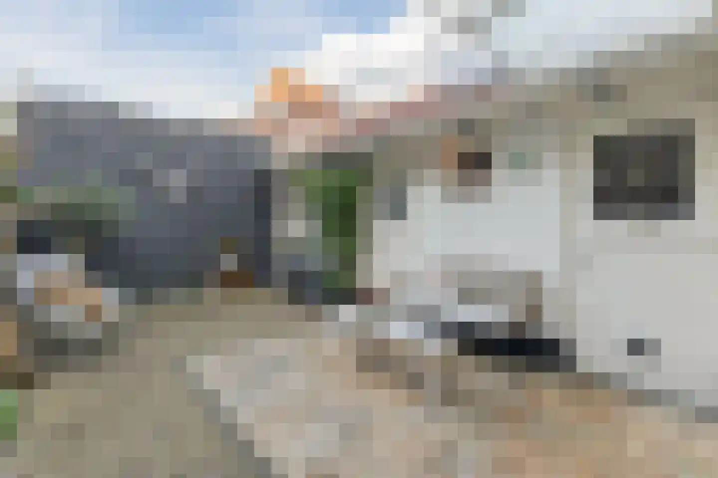 Torenstraat 5 Egmond aan Zee thumbnail 43