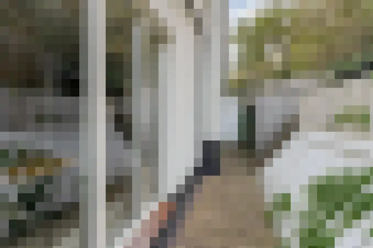 Torenstraat 5 Egmond aan Zee thumbnail 46