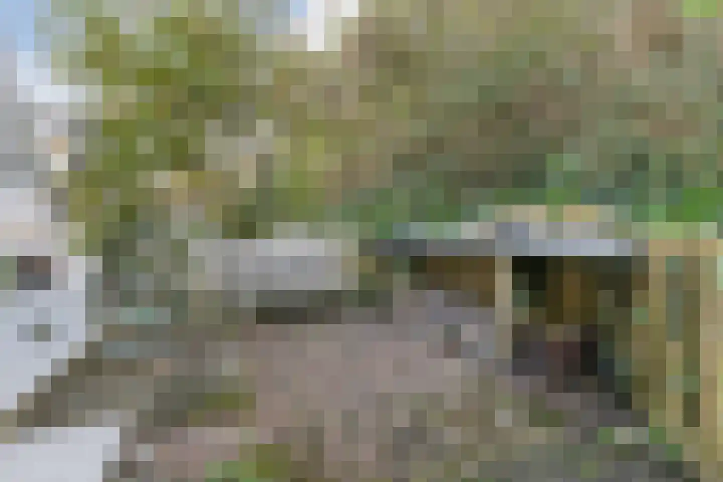Torenstraat 5 Egmond aan Zee thumbnail 48