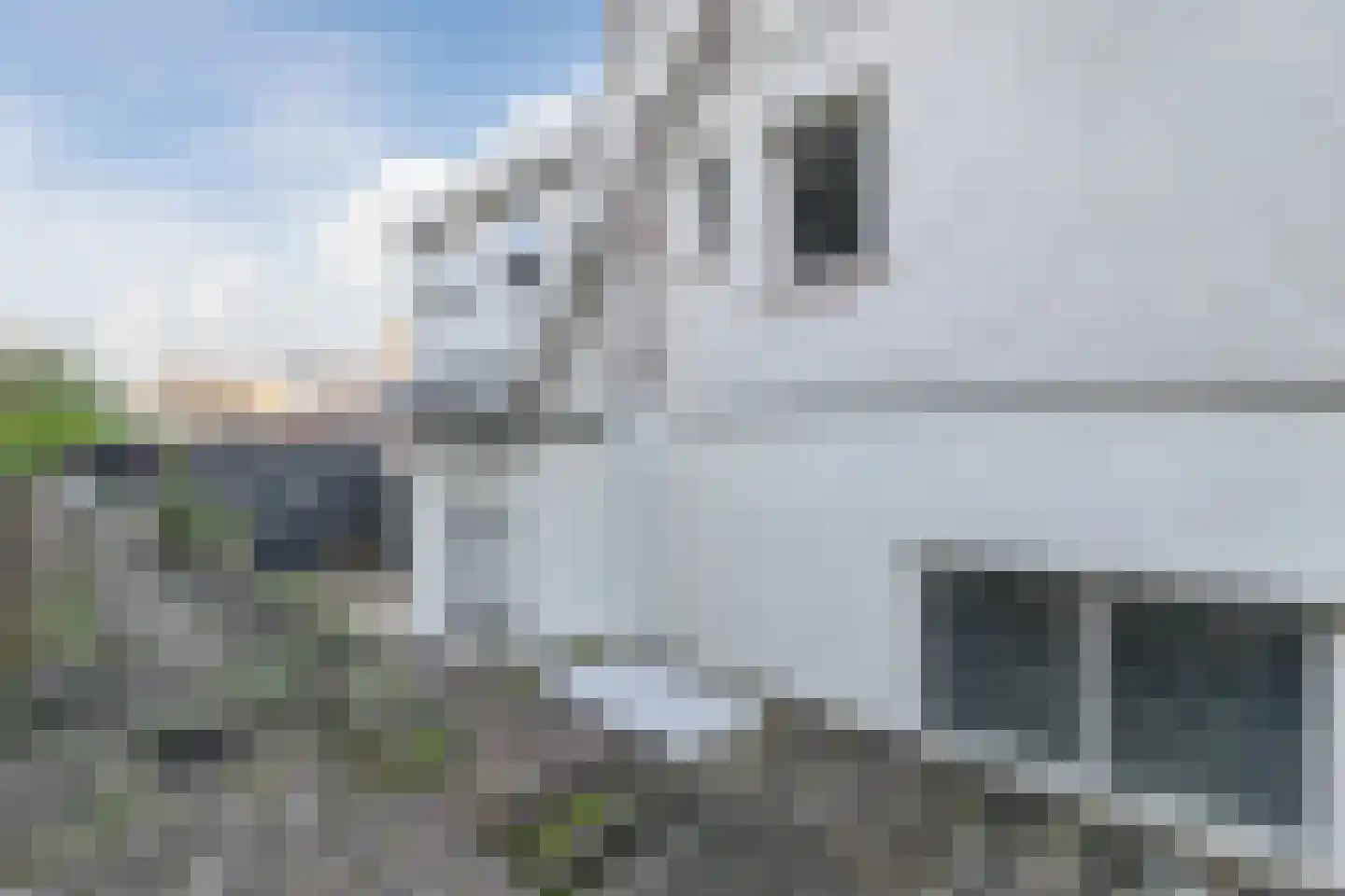 Torenstraat 5 Egmond aan Zee thumbnail 49