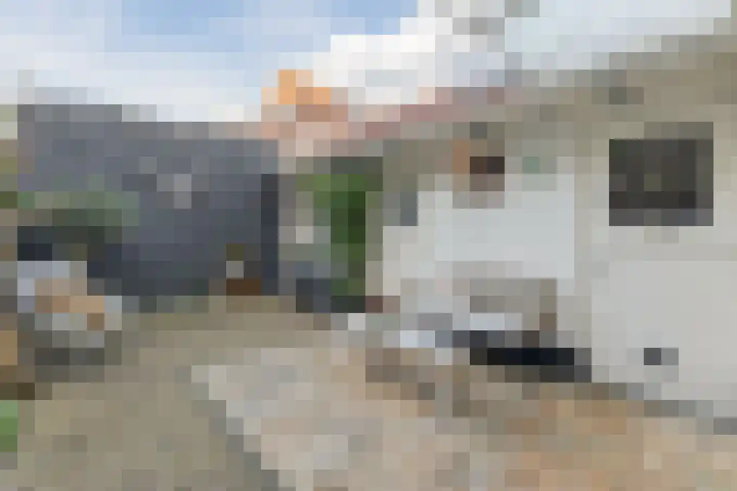 Torenstraat 5 Egmond aan Zee thumbnail 5
