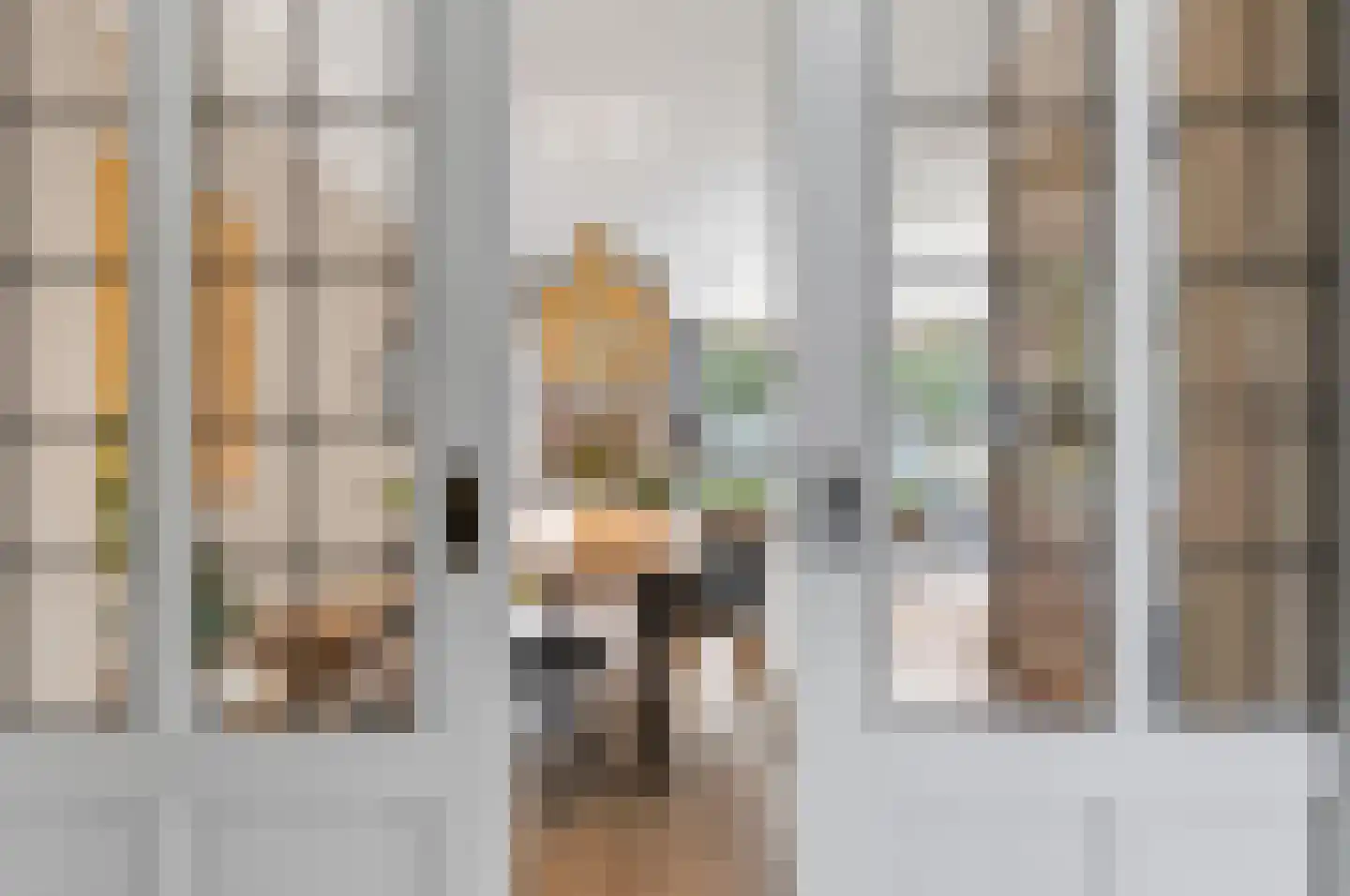 Torenstraat 5 Helvoirt thumbnail 10