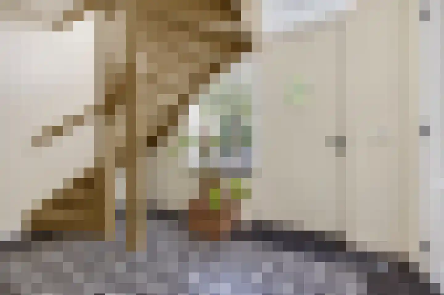 Torenstraat 5 Helvoirt thumbnail 17