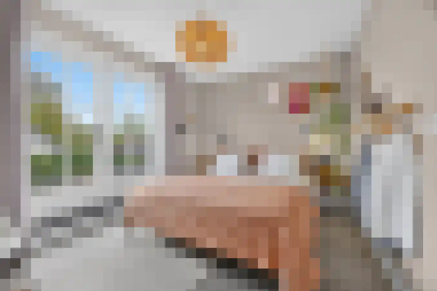 Torenstraat 5 Helvoirt thumbnail 20