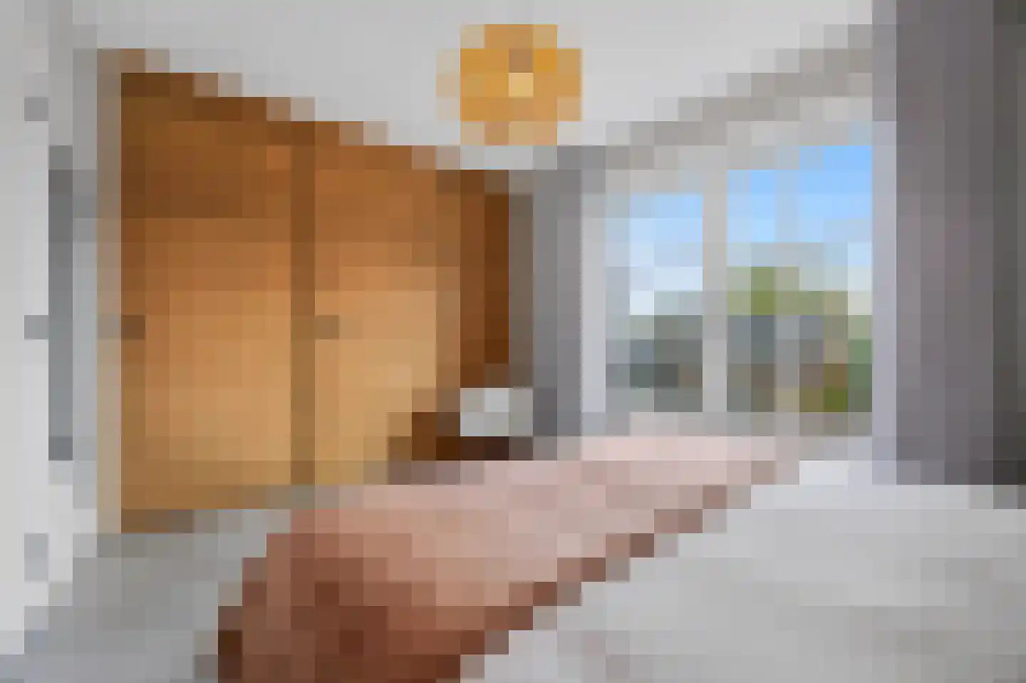 Torenstraat 5 Helvoirt thumbnail 21