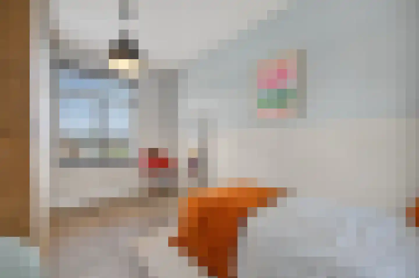 Torenstraat 5 Helvoirt thumbnail 26