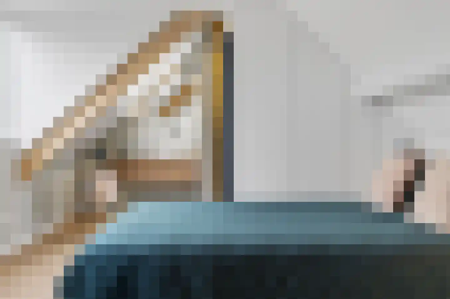 Torenstraat 5 Helvoirt thumbnail 60