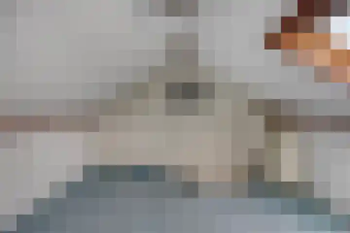 Torenstraat 51 Oosterhout thumbnail 20