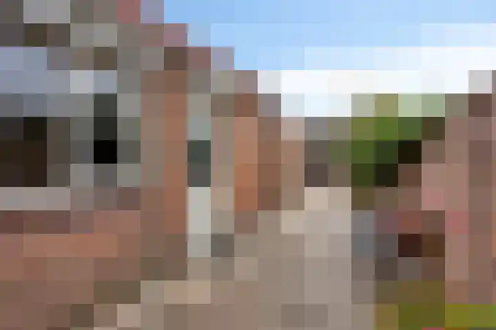 Torenstraat 51 Oosterhout thumbnail 21