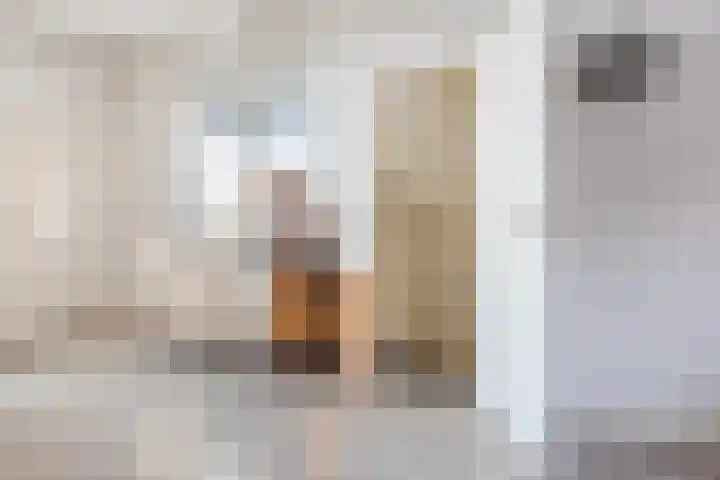 Torenstraat 53 Oosterhout thumbnail 10