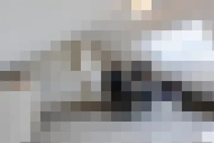 Torenstraat 53 Oosterhout thumbnail 32