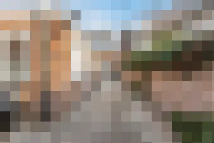 Torenstraat 53 Oosterhout thumbnail 42