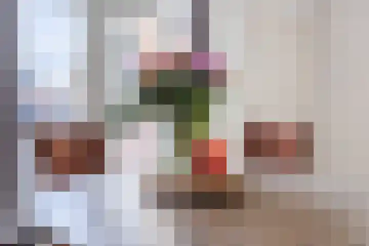 Torenstraat 53 Oosterhout thumbnail 8