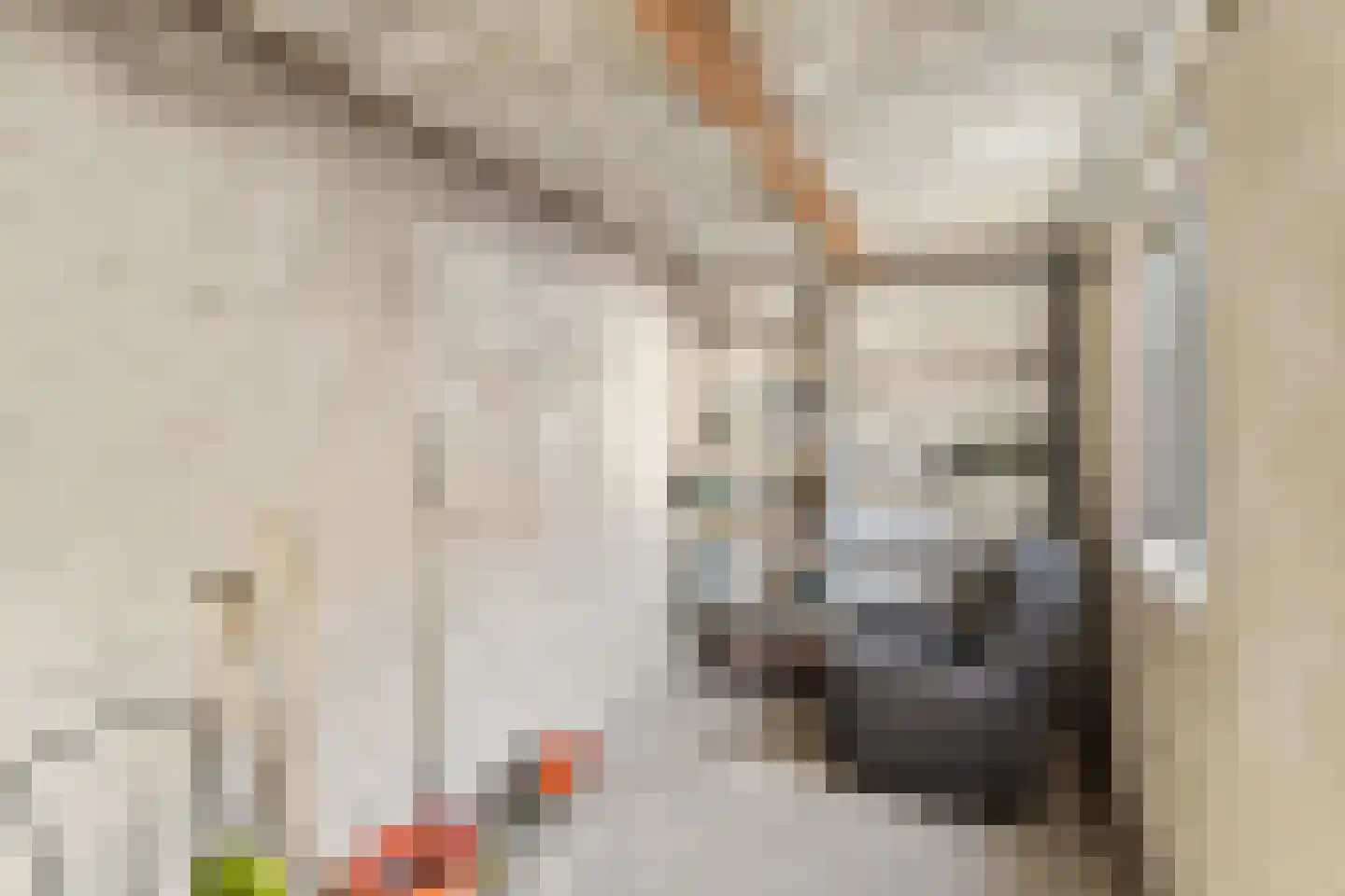 Torenstraat 54 Roosendaal thumbnail 34