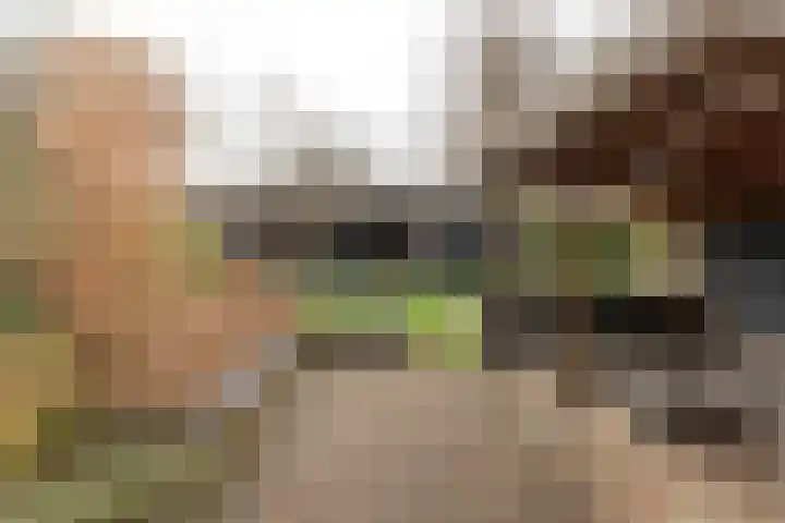 Torenstraat 55 Drachten thumbnail 31