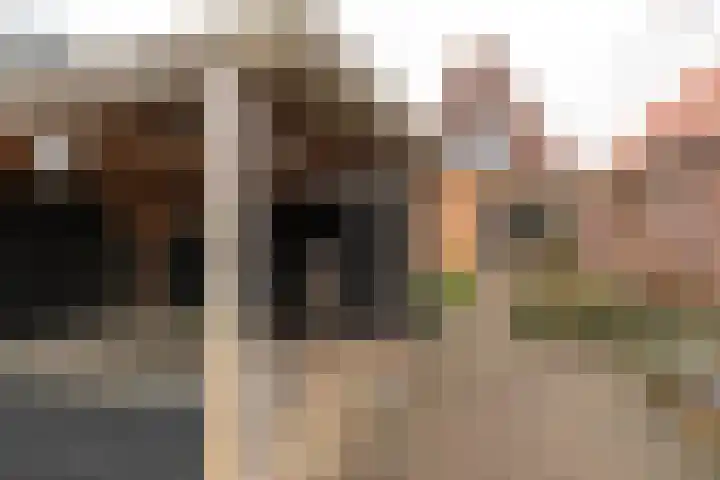 Torenstraat 55 Drachten thumbnail 32
