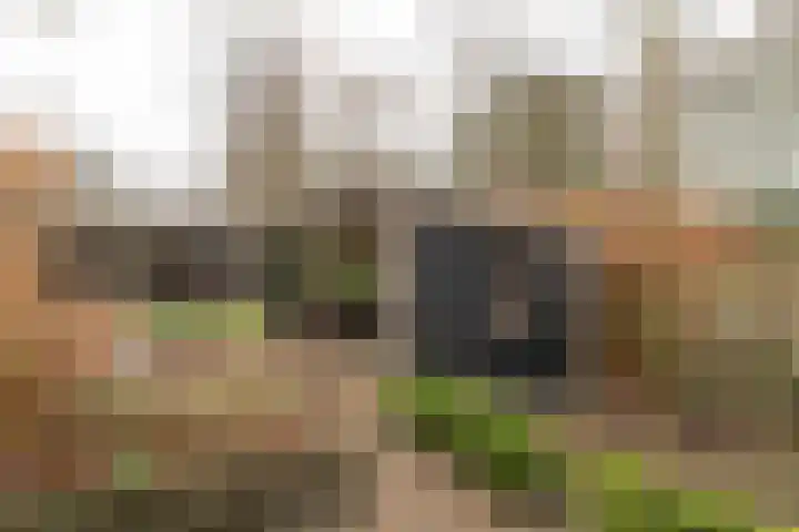 Torenstraat 55 Drachten thumbnail 34