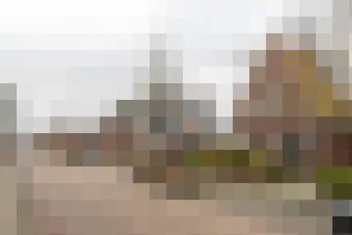 Torenstraat 55 Drachten thumbnail 39