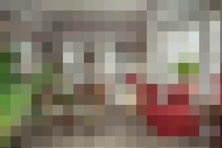 Torenstraat 55 Drachten thumbnail 9