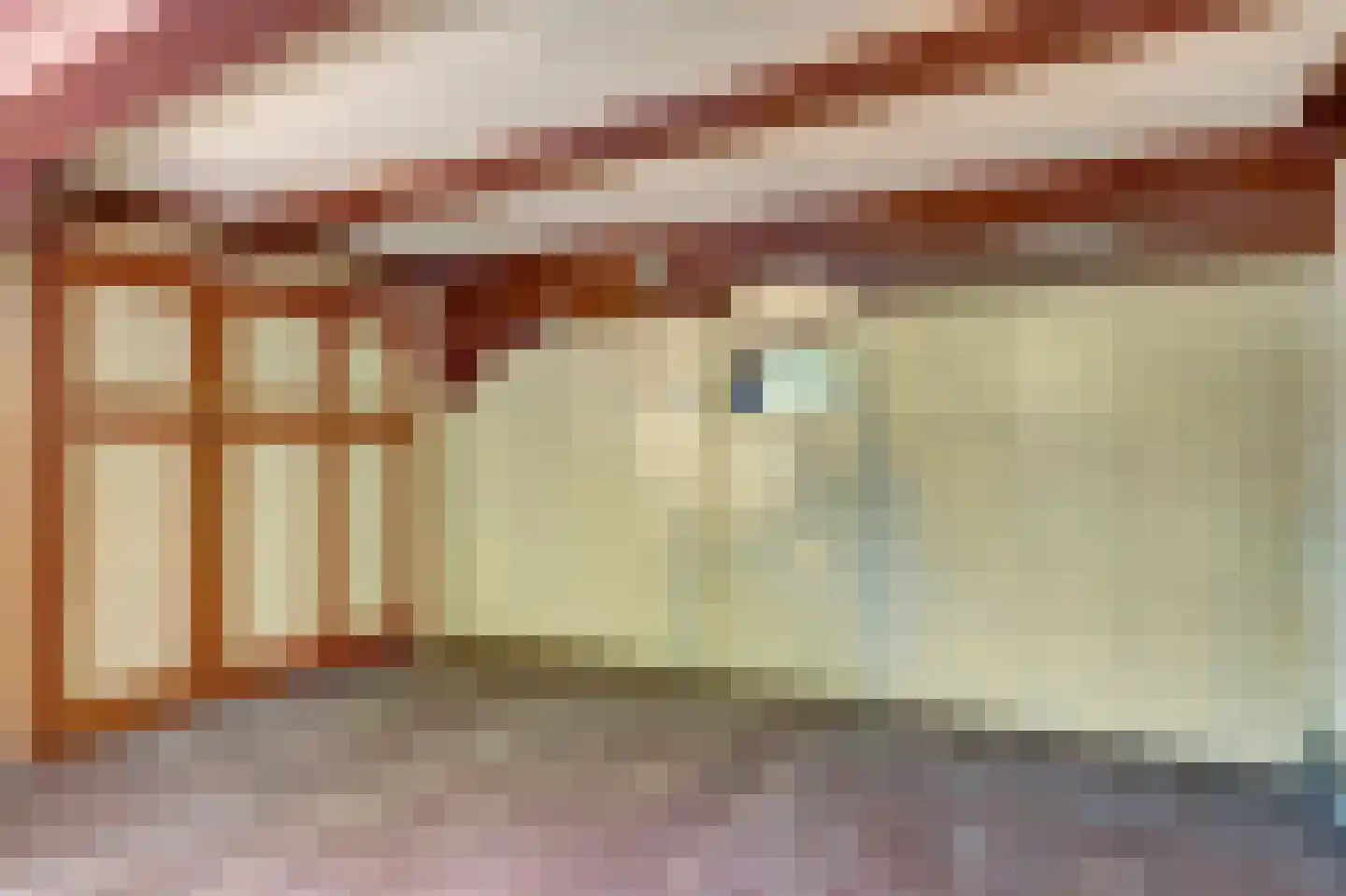 Torenstraat 6 Enkhuizen thumbnail 20