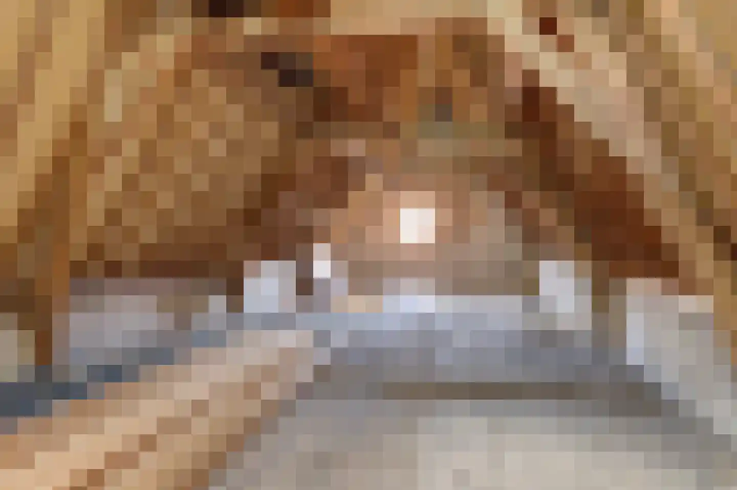 Torenstraat 6 Enkhuizen thumbnail 24