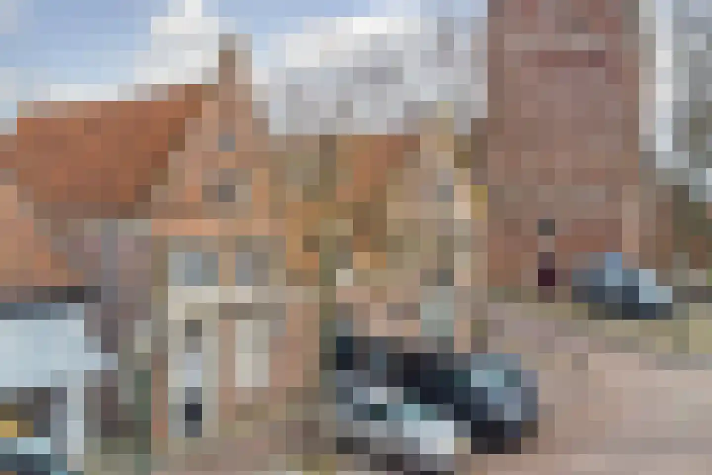 Torenstraat 6 Enkhuizen thumbnail 30