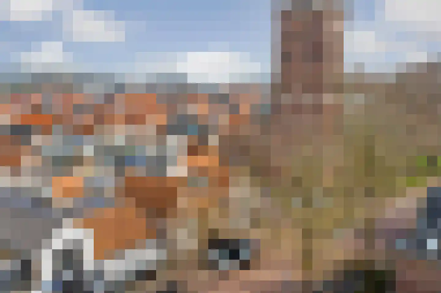 Torenstraat 6 Enkhuizen thumbnail 31